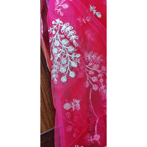 India Scarve's Net Cut Goldan Embroidered Floral Design  Dupatta