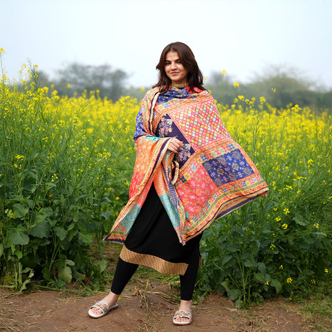 Pakistani Digital Printed Chinnon Multicoloured Dupatta With Heavy Mirror Work